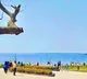 ktr post on a tourism in hyderabad goes viral on socialmedia