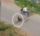 Leopard attacked two men in mysore