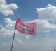 TRS leading increased in Mmmmmunugde counting