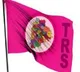 Symbols similar to the car shocked TRS in Munugade
