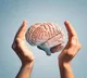 Nutrients that helps to brain health