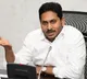 CM Jagan reviews on agriculture