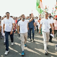 BJY: 'Tapasvi' Rahul Gandhi blooms from Congress' crown prince to 'mass leader'