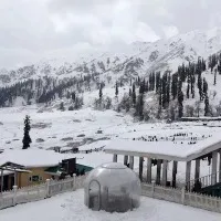 curbs on heating gadgets sales in kashmir