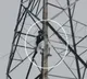 AAP Leader Denied MCD Ticket Climbs Tower and Goes Live