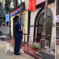 Dog bows down pays respect to Lord Ganesha Video is viral
