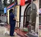 Dog bows down pays respect to Lord Ganesha   Video is viral