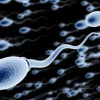 Sperm counts are decreasing study finds What might it mean for fertility