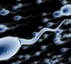 Sperm counts are decreasing study finds What might it mean for fertility