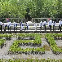 g20 nations chiefs visits mangrooves in bali