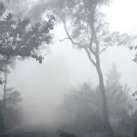 Temperatures dipping in Chintapalle