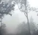 Temperatures dipping in Chintapalle