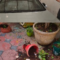 TRS workers attack BJP MP Arvind's house in Hyderabad