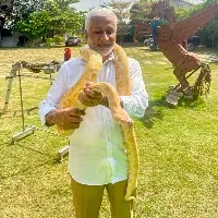 Vijayasai Reddy played with Pythons at Shamshabad farm