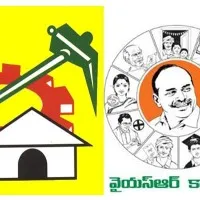 Fight between TDP and YSRCP in Krishna district