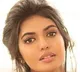 Shivani Rajasekhar Interview