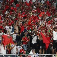 Study says Camel Flu risk in Qatar which hosts FIFA World Cup