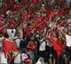 Study says Camel Flu risk in Qatar which hosts FIFA World Cup