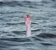 Two students from Telangana drown in US lake