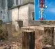 Mobile Tower Worth Lakhs Stolen In Bihar