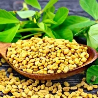 Naturopathy diet for diabetes 5 Herbs that control sugar levels