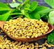 Naturopathy diet for diabetes 5 Herbs that control sugar levels
