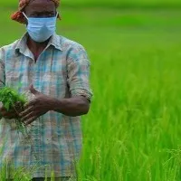 Maharashtra farmer gets Rs 2 as crop damages