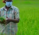 Maharashtra farmer gets Rs 2 as crop damages
