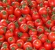 Tomato prices have dropped in Andhra Pradesh and Telangana