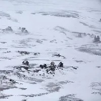 Scientists invents age old virus under permafrost