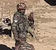 Indian army uses eagles to tackle drones