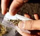 Mephedrone worth Rs 478 crore seized in Gujarat