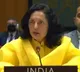 We are the greatest democracy in the world says India in UN