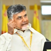 Jagan govt driving away companies: Chandrababu Naidu