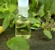 Ayurvedic remedies to get relief from dust allergy
