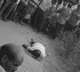 YSRCP leader murder