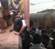 MCA Student Stuck between Rail and Plot Farm in Duvvada Station