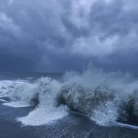 Cyclone Mandous to move across TN south Andhra by today midnight says IMD