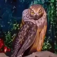 Is that an animal or a person Anand Mahindra post will leave you thoroughly amazed Watch