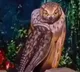 Is that an animal or a person Anand Mahindra post will leave you thoroughly amazed Watch