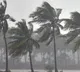Rains expected today in Andhrapradesh