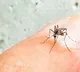 Zika Virus First case in Karnataka 5 yr old girl tests positive