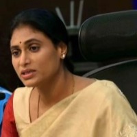 Sharmila to resume padyatra after Sankranti