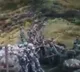 Sonu Sood shares a video of Indian soldiers courage against China Forces in border face off