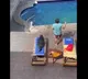 Anand Mahindra shares video of seal taking a dip in the pool What followed next will make you go ROFL