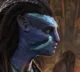 Avatar Movie Review