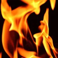 5 dead in a fire accident in mancherial dist