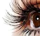 How to Improve Your Eye sight