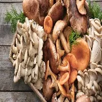 Health Benefits with Eating Mushrooms
