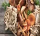 Health Benefits with Eating Mushrooms
